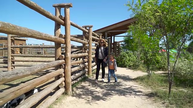 母亲和儿子走在动物园的鸟舍附近视频素材