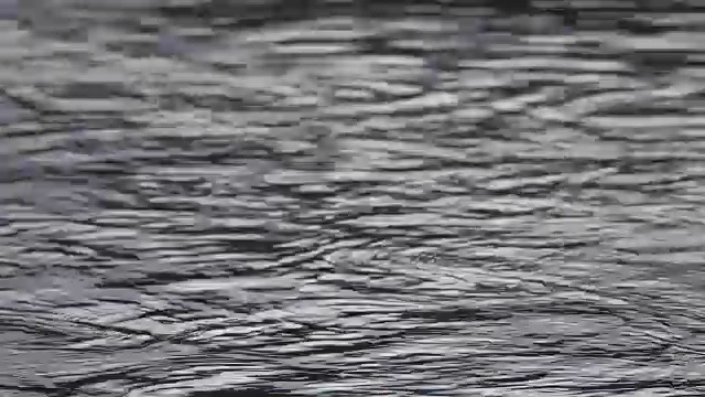 4K:水面、河流视频素材