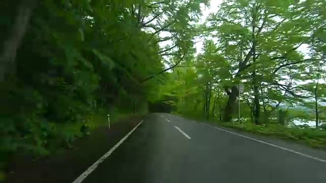 雨中穿过森林的路视频素材