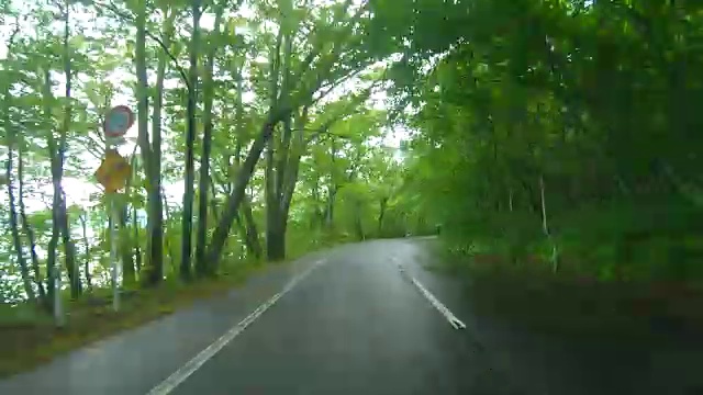 雨中穿过森林的路视频素材