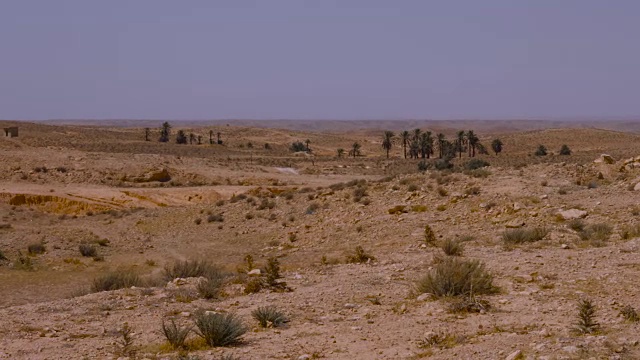 雾霾之上的撒哈拉沙漠，棕榈树和沙漠植物的天空背景视频素材