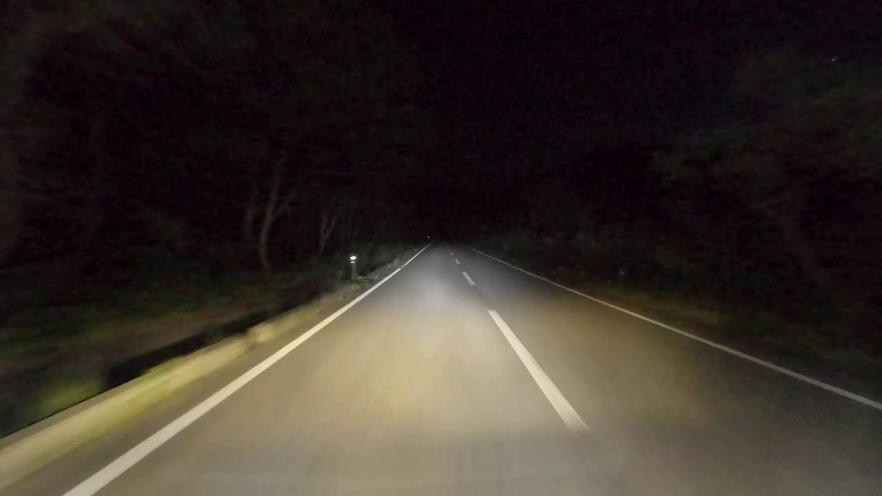 驾车穿过午夜的森林路视频下载