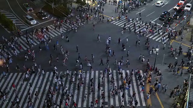 涩谷著名的步行者在人行横道上拥挤的人群和等待着的汽车。大城市的夜晚。视频素材