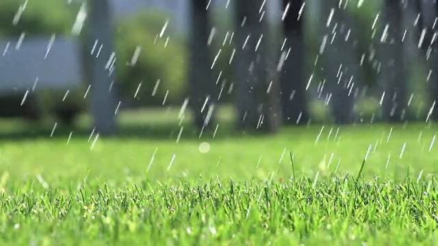 草坪洒水。草灌溉。视频素材