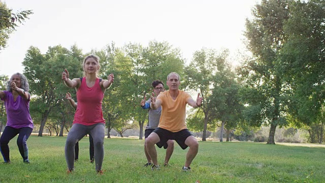 公园里的各种成人健身团体视频素材