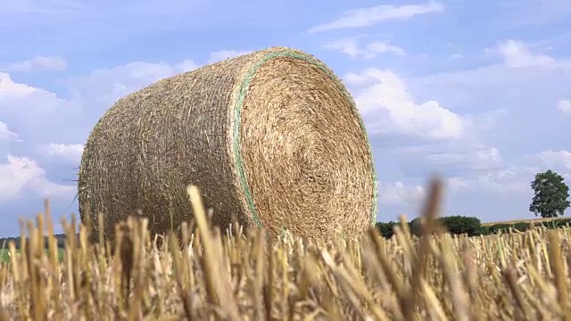 用圆捆切成斜面的干草，慢动作视频下载