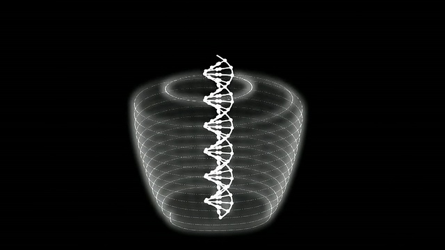 DNA生成苹果——用相机移动视频下载