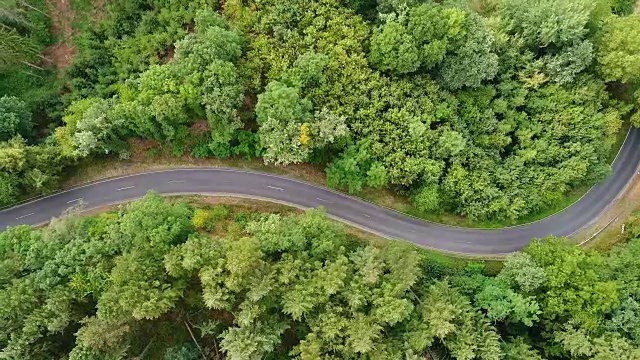 穿过森林的道路跟踪拍摄，鸟瞰图视频素材