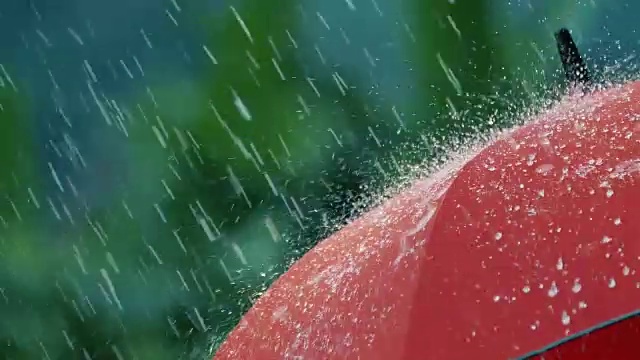 大雨落在红伞上视频下载