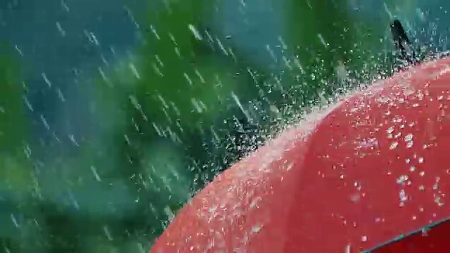 大雨落在红伞上视频购买