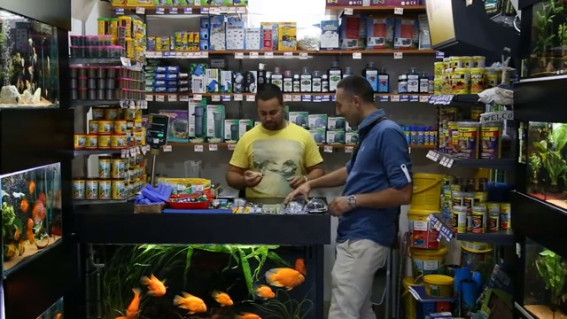 一个人在宠物店买鱼视频素材