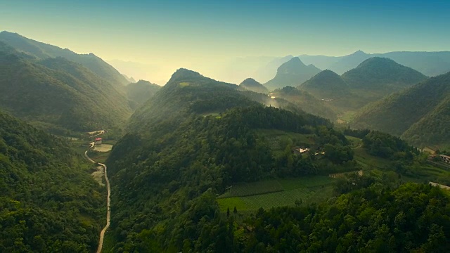 山上森林的鸟瞰图视频素材