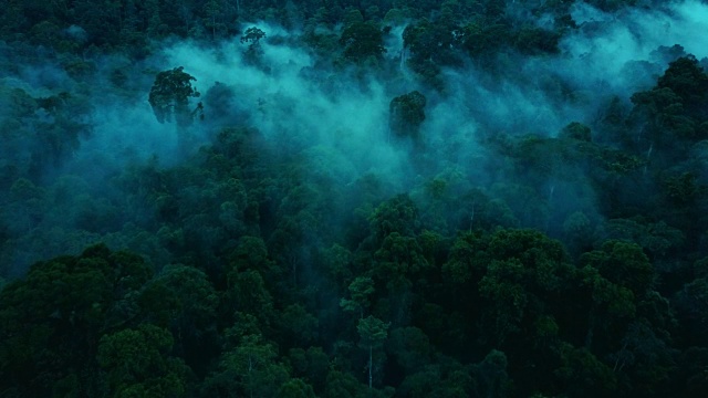 马来西亚婆罗洲沙巴州热带雨林的无人机镜头视频下载