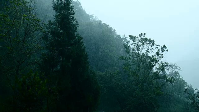 山区大雨视频素材