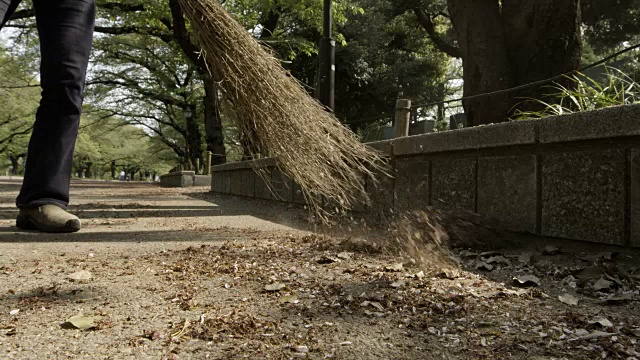 用传统的扫帚扫掉路上的落叶和花朵。Gyokudo美术馆，东京，日本视频下载