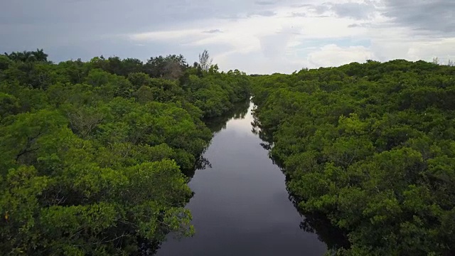 从空中俯瞰大沼泽地的河流视频下载