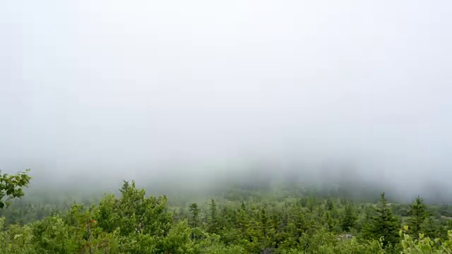 迷雾中的阿卡迪亚国家公园视频素材