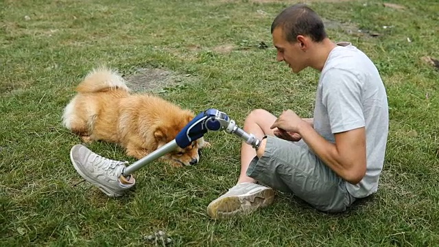 残疾人和狗玩得很开心视频下载