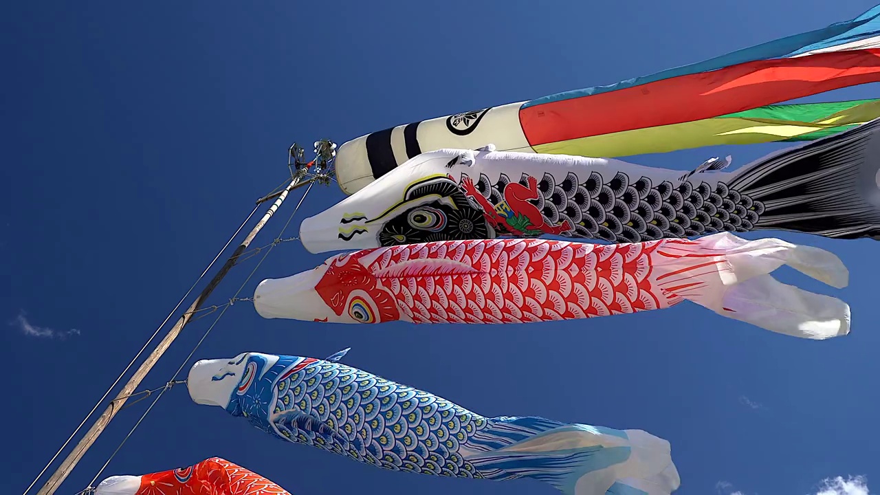 青天里五彩鲤鱼放风筝，日本儿童节的装饰视频下载
