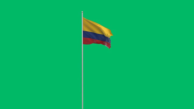 哥伦比亚的国旗视频下载