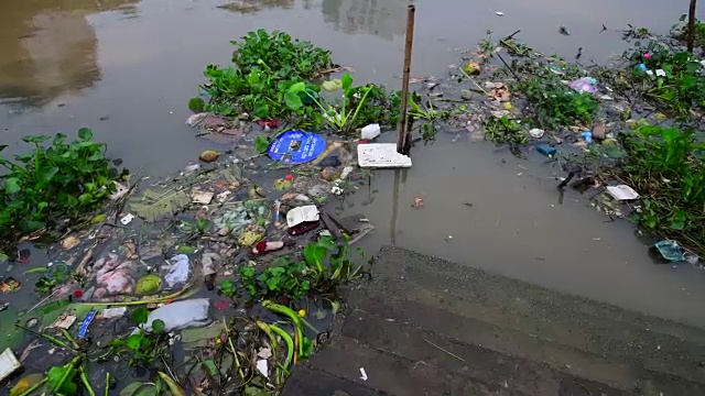 河流垃圾，城市水污染的后果视频下载