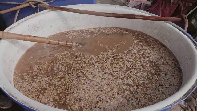 咖啡颗粒加工采用湿法，先用手烘干。视频下载