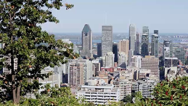 蒙特利尔，魁北克城市景观从山皇家公园观景台视频下载