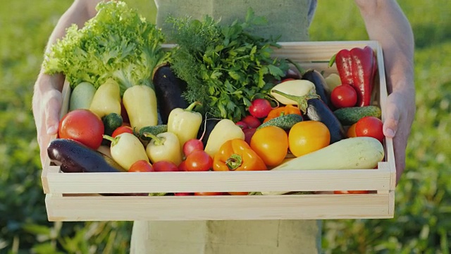 农夫拿着一个装着各种蔬菜的木箱。有机农业和农产品视频素材