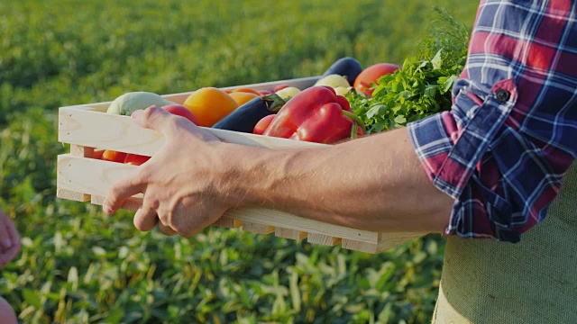 一个女人从农夫的手里接过一盒蔬菜。新鲜蔬菜直接从地里运来视频素材