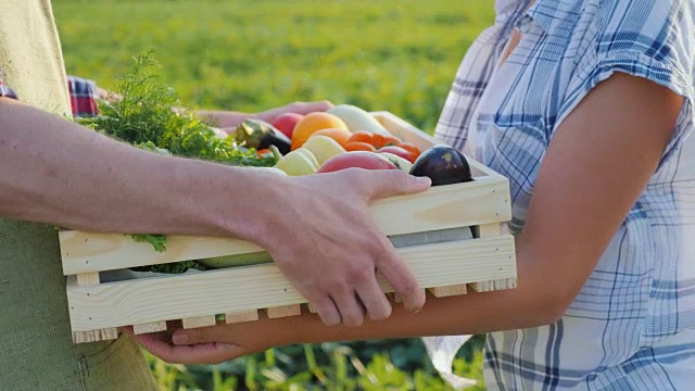 一个工人沿着田地带着一盒蔬菜。农用新鲜蔬菜视频素材