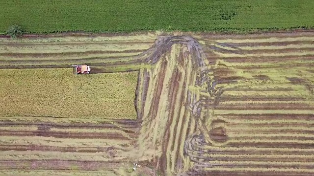 在田间作业的联合收割机鸟瞰图，农业概念视频素材