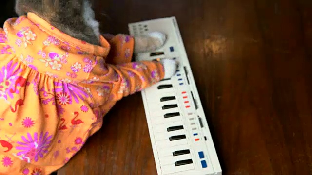 穿着彩色衬衫的猫在弹键盘钢琴视频素材