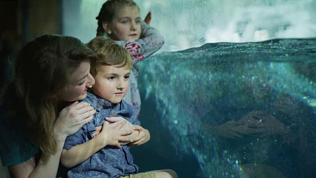 母亲和孩子们蹲在水族馆的玻璃旁边看企鹅/美国犹他州德雷柏视频素材