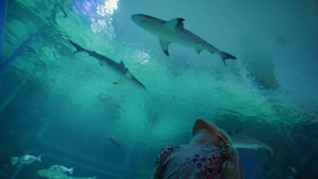低角度平移拍摄的女孩在水族馆看鱼游泳头顶/德雷柏，犹他州，美国视频素材