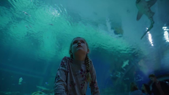 低角度平移拍摄的女孩在水族馆看鱼游泳头顶/德雷柏，犹他州，美国视频素材