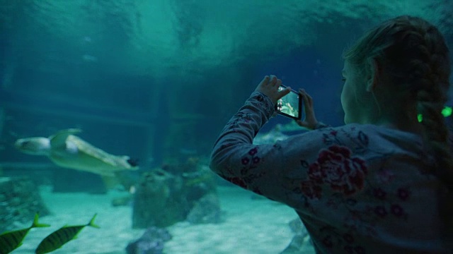 美国犹他州德雷柏，一个女孩用手机记录水族馆里的动物游泳视频素材