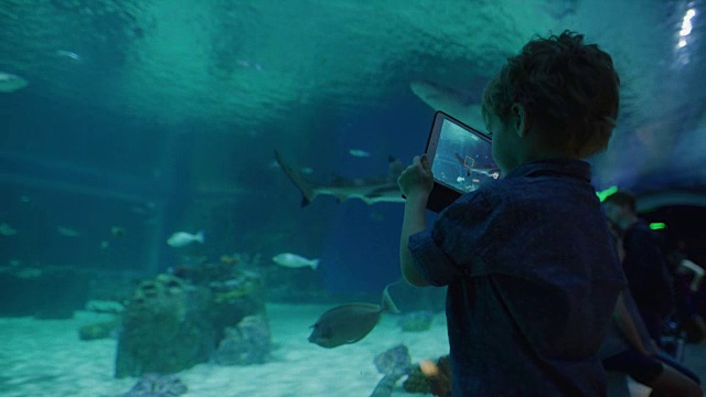 男孩用数码平板电脑记录鲨鱼和鱼在水族馆游泳，美国犹他州德雷柏视频素材