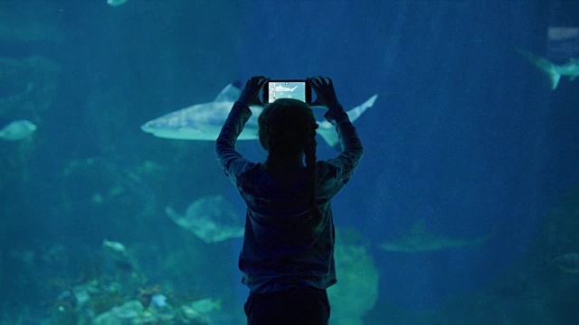 美国犹他州德雷柏，女孩用手机记录水族馆里的鱼视频素材