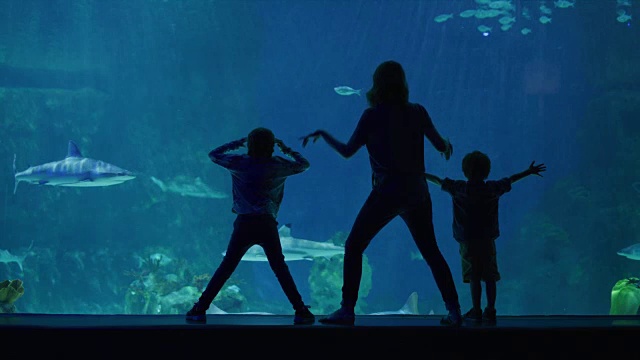 美国犹他州德雷柏水族馆，母亲和孩子们在玻璃旁玩耍的剪影视频素材