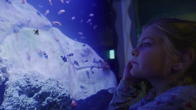 女孩在美国犹他州德雷柏水族馆看鱼的特写视频素材
