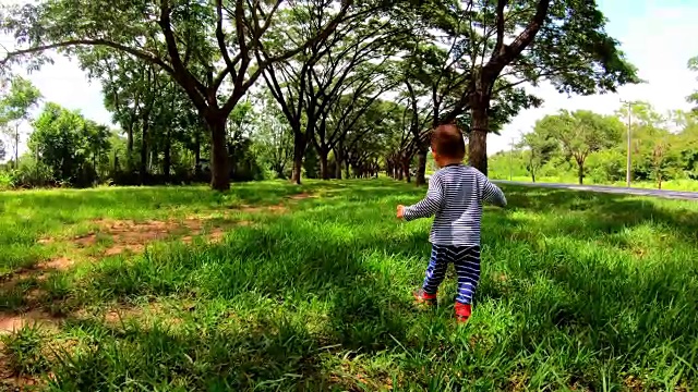 小男孩在公园里散步。视频素材