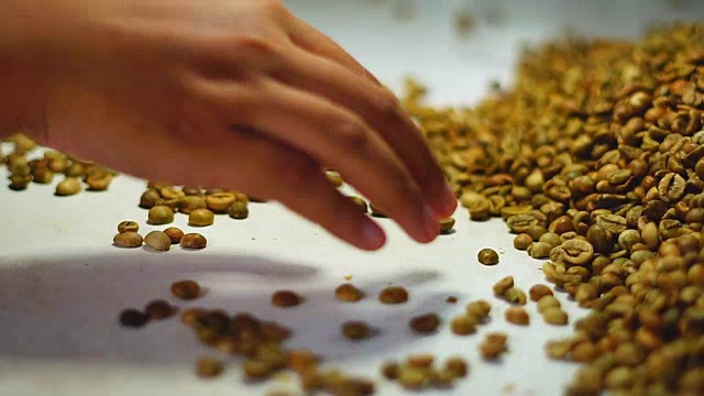 加工工厂的工人正在检查烤好的罗布斯塔咖啡豆。视频下载
