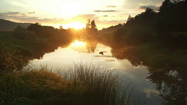空中朦胧的河流在初升的太阳下闪闪发光视频下载