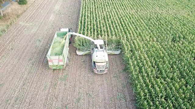日落时分德国的玉米收获视频素材