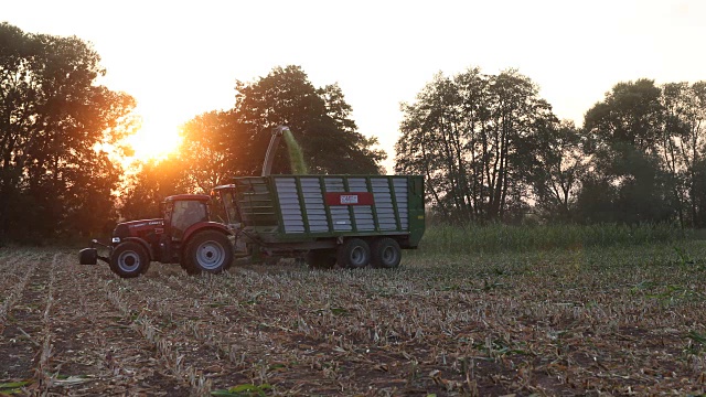 日落时分德国的玉米收获视频素材