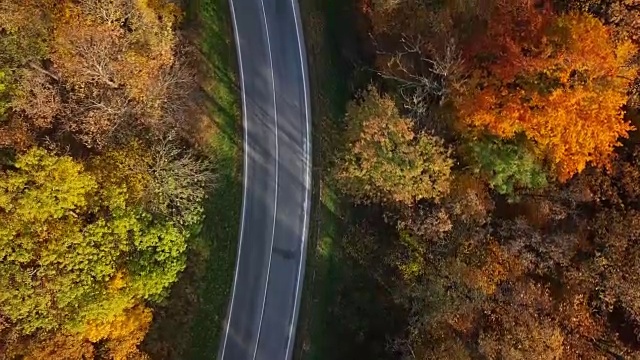 顶部鸟瞰图的乡村道路在阳光明媚的秋天森林视频素材
