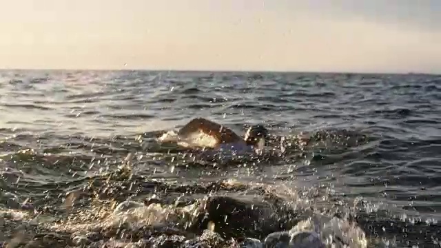 两名公开水域的游泳者在阳光下的海上前爬游泳视频素材