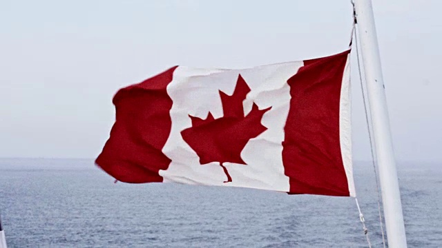 加拿大国旗在风中飘扬视频素材