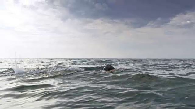 游泳运动员游自由泳视频素材