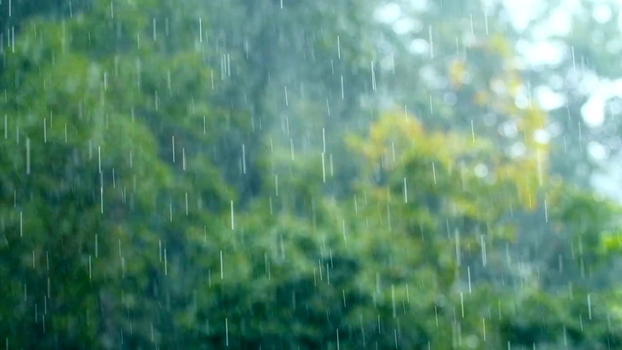 雨滴落下与自然模糊的背景视频购买